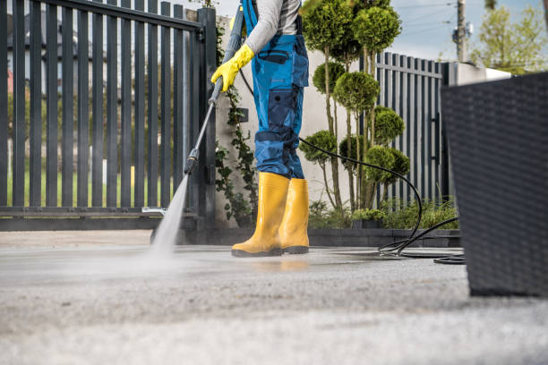 Best Affordable Power Washing  in Hazel Dell, WA